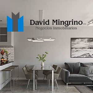 (c) Davidmingrino.com.ar